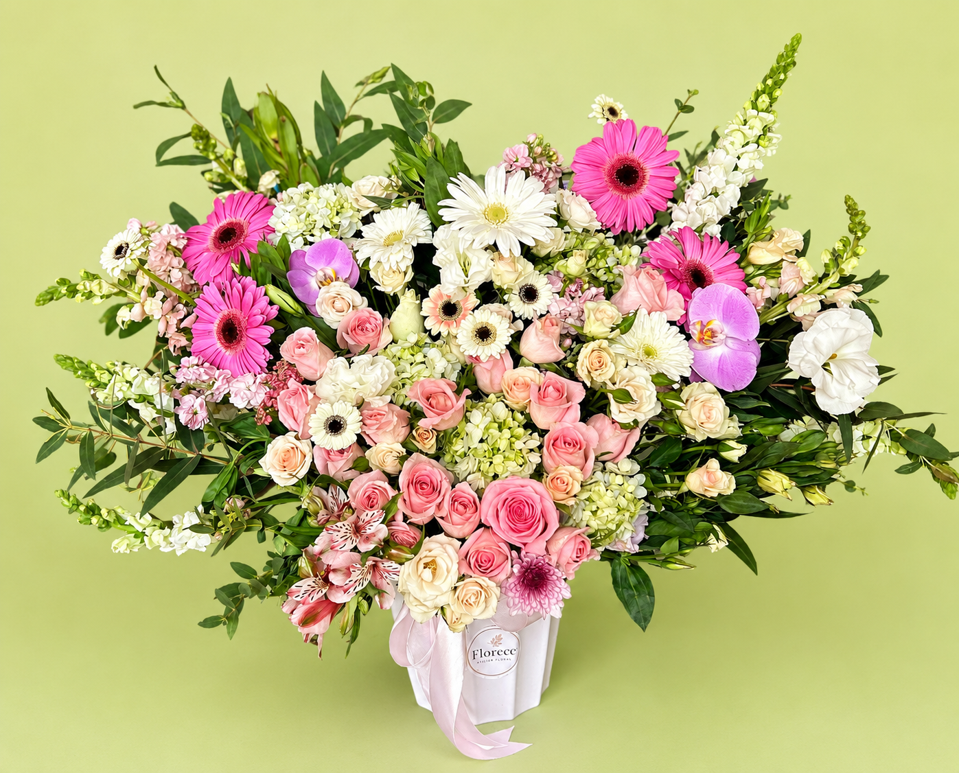 Maxi de gerberas