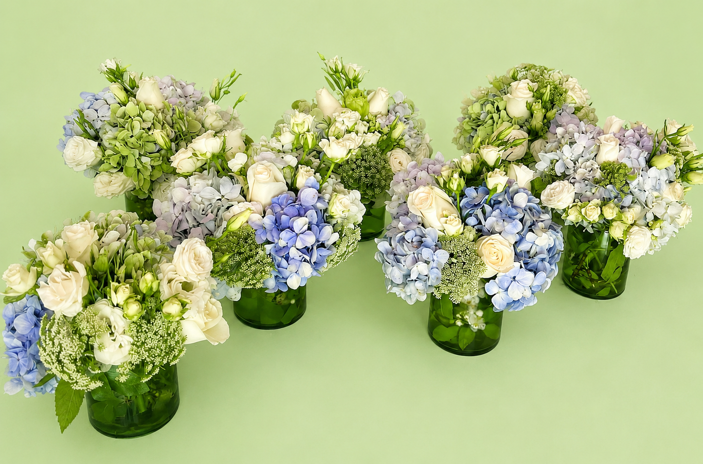 Hortensia garden 💙