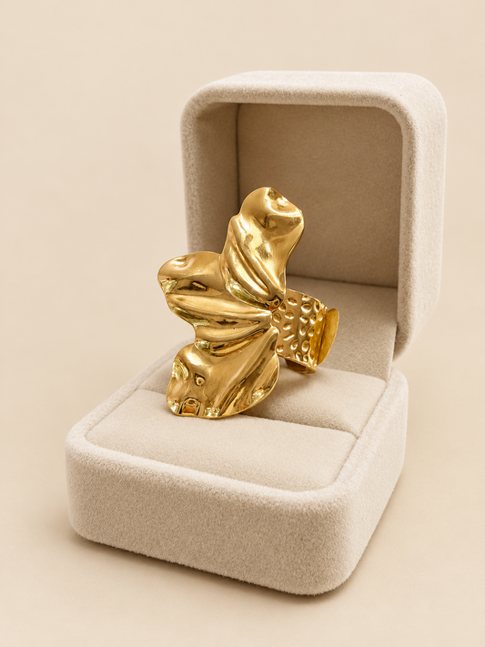 Anillo 1
