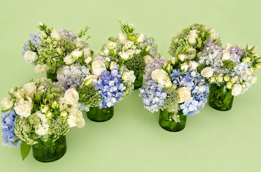 Hortensia garden 💙