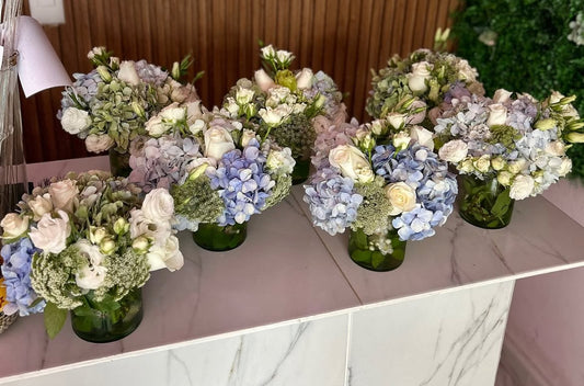Hortensia garden 💙